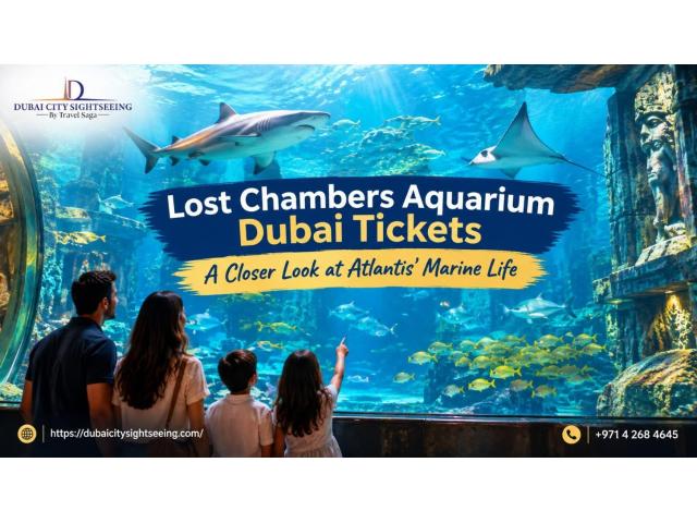 Lost Chambers Aquarium Dubai Tickets – A Closer Look at Atlantis’ Marine Life