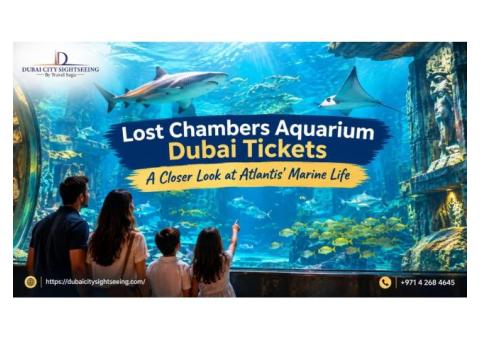 Lost Chambers Aquarium Dubai Tickets – A Closer Look at Atlantis’ Marine Life