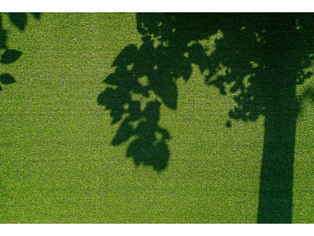How low maintenance turf can instantly transform home landscapes