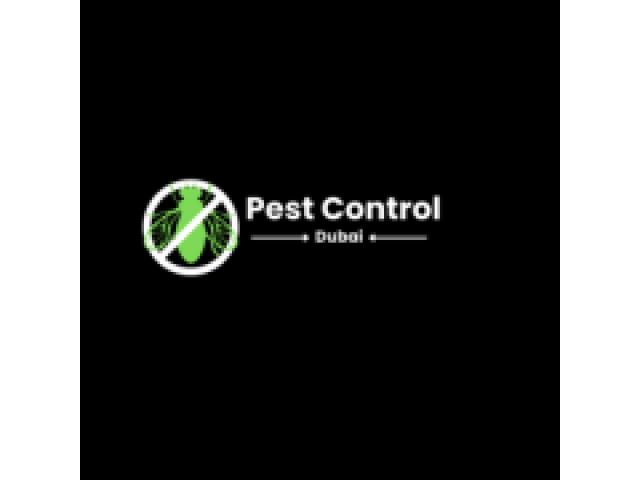 Best Pest Control Dubai