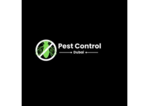 Best Pest Control Dubai