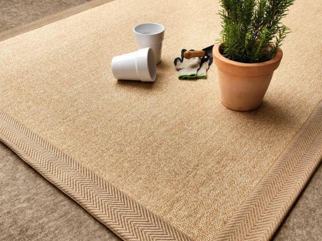 Buy Premium Wall to Wall Carpet in Dubai